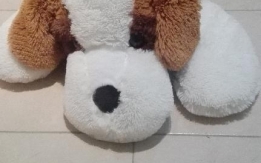 REGALO BELLISSIMO PELUCHE